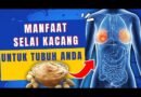 8 ALASAN KUAT MENGAPA ANDA HARUS MENGONSUMSI SELAI KACANG SETIAP HARI !!!  | TIPS KESEHATAN